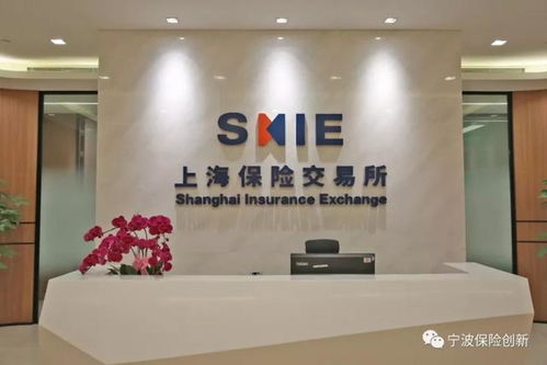 上海保交所科技公司正式落戶寧波，開啟科技中介服務(wù)新篇章