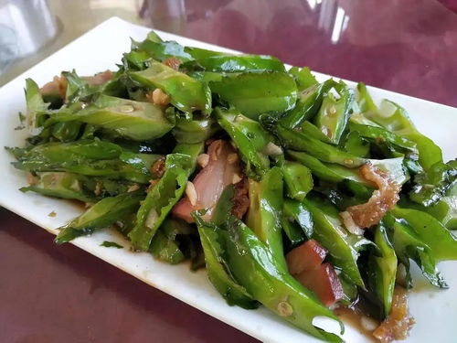 云勇之眼 茄子云下的自然詩(shī)篇